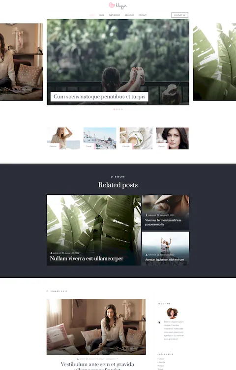 Blogger 4