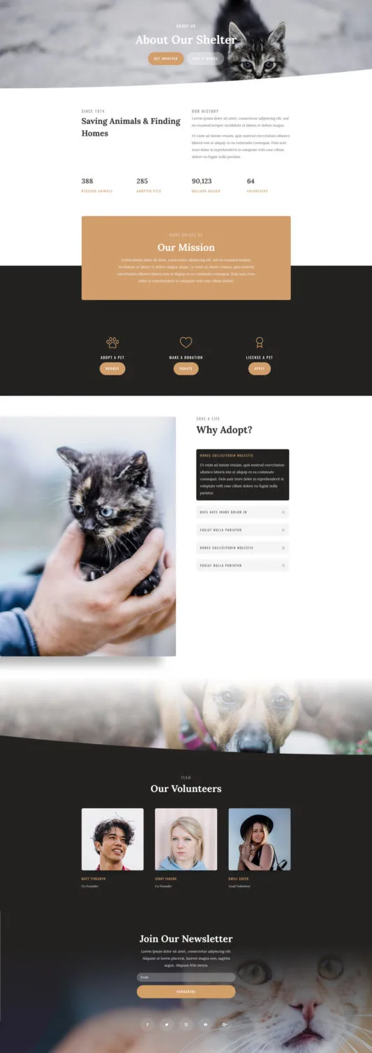 Animal Shelter