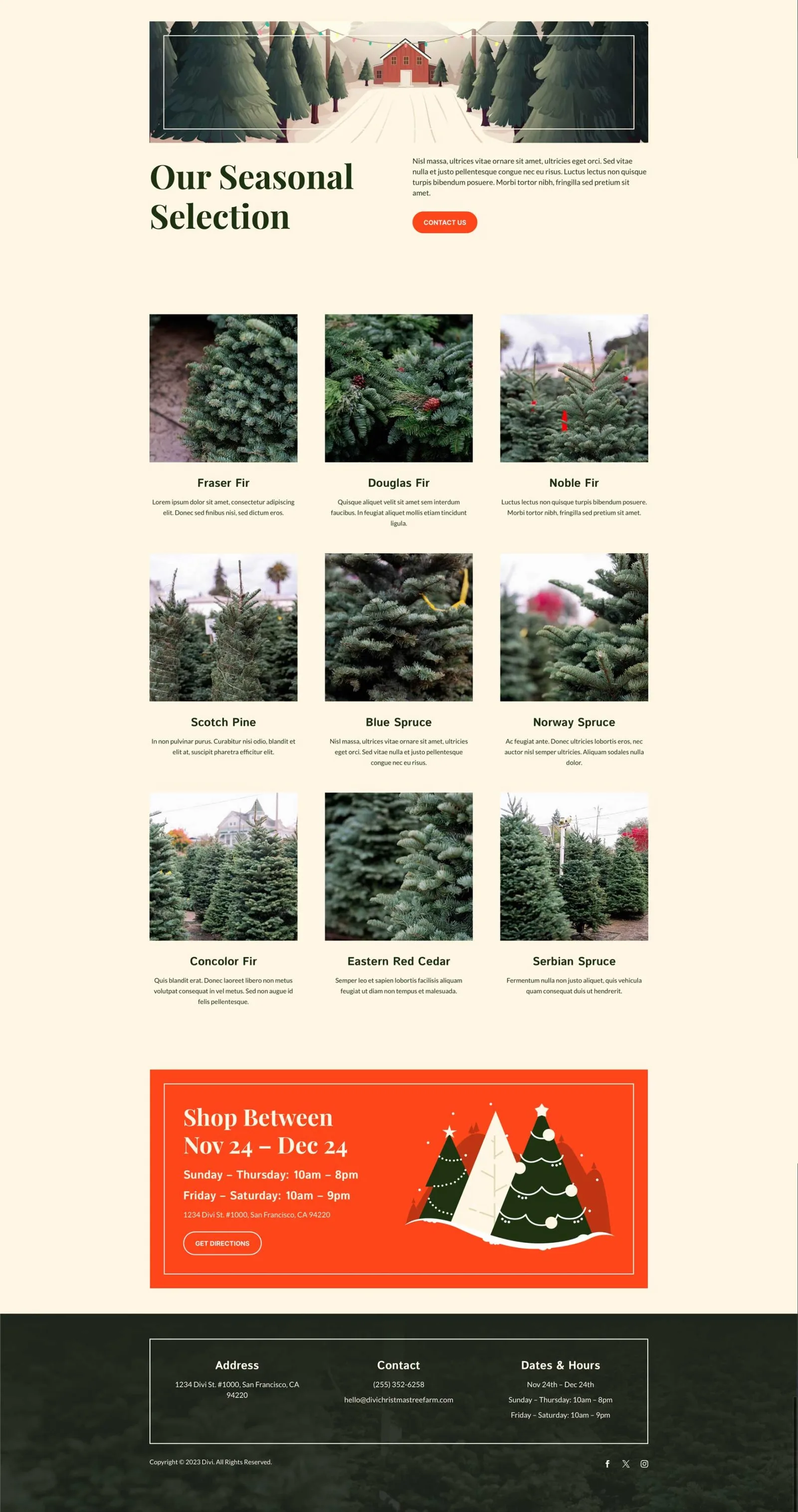 Christmas Tree Farm
